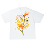 SUN BORN SPIRIT